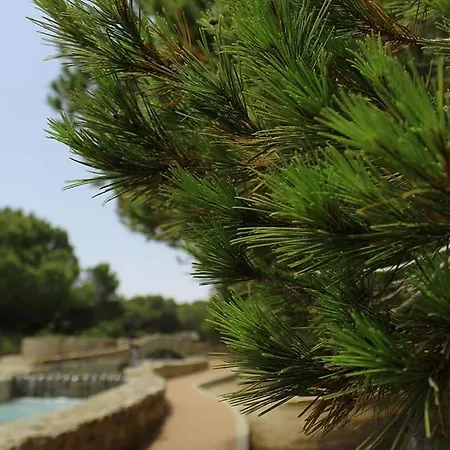 паркемар Apartmán Torrevieja